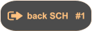 back SCH   #1